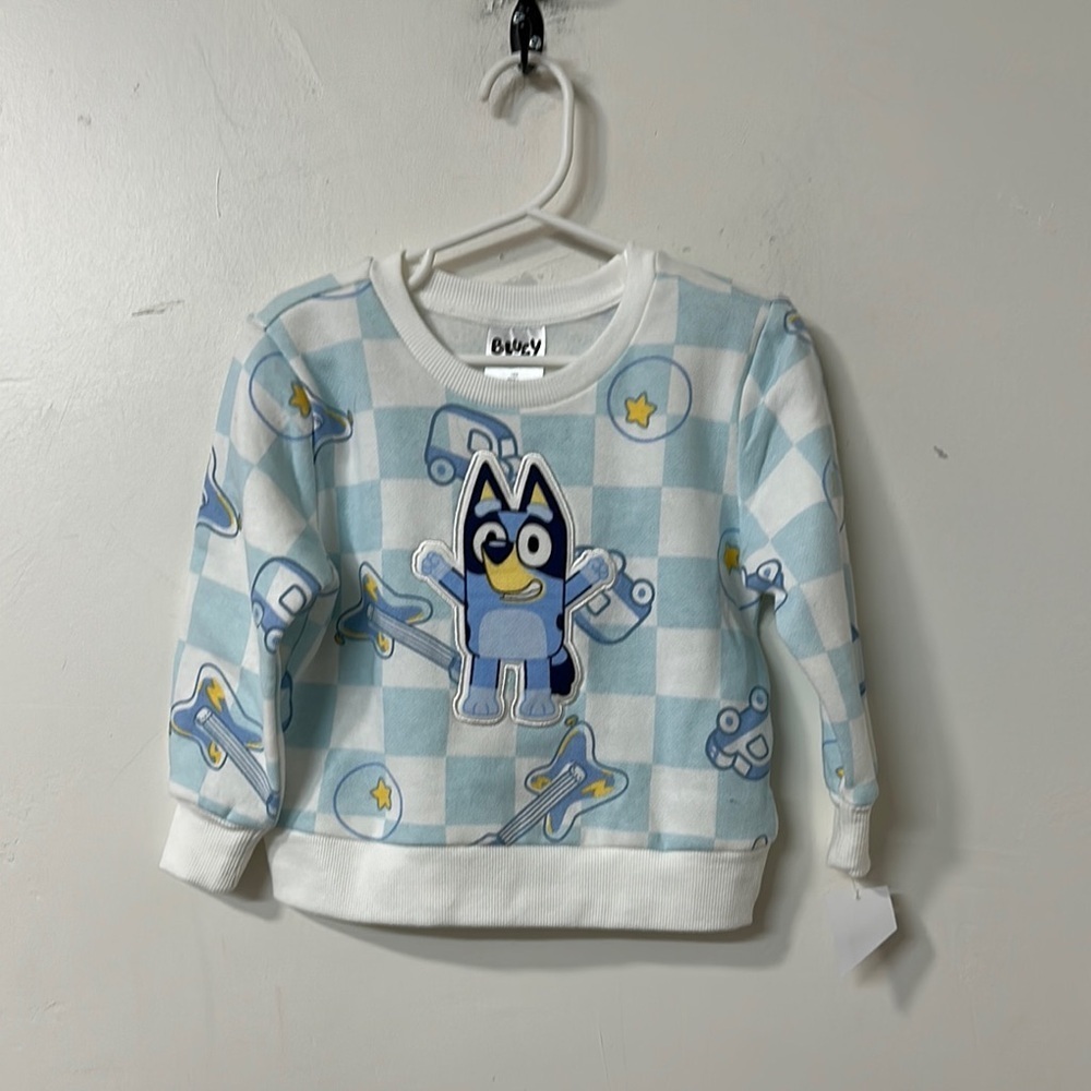 Kids Sweatshirt - Blue and White